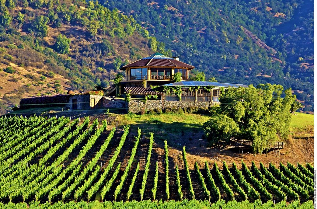 La Ruta del Vino en Argentina. Los 10 itinerarios turísticos que no puedes perderte.