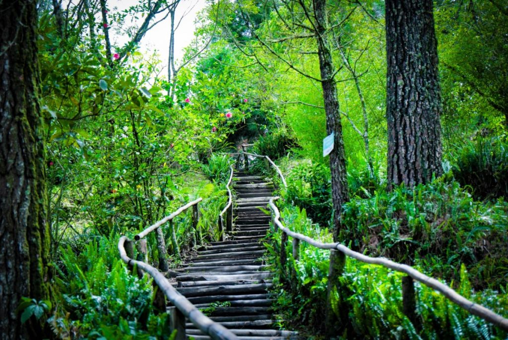 Atractivos del Parque Nacional El Boquerón