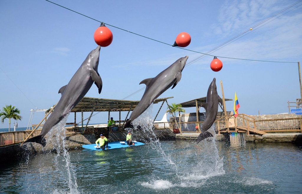 Turismo en Santa Marta: Descubre el corazón del caribe colombiano