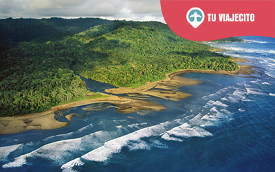 Turismo en Parque Nacional Corcovado: Descubre el tesoro natural de Costa Rica