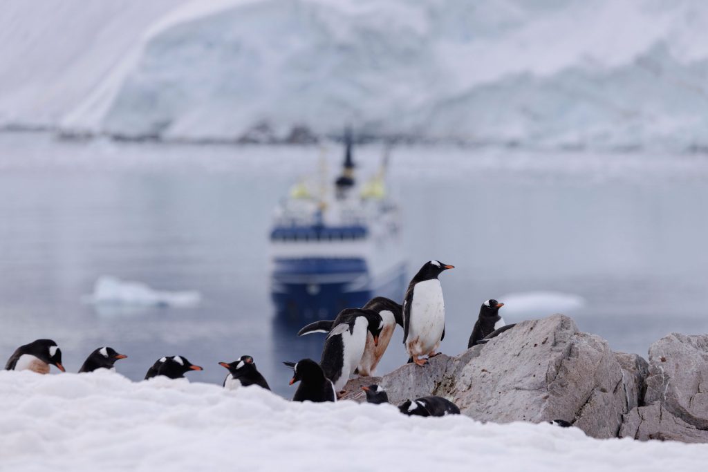 Navegando hacia la Antártica: Un viaje incomparable
