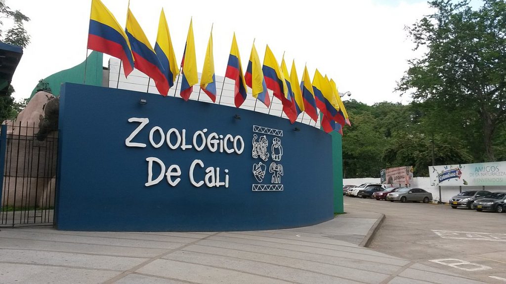 El Zoológico de Cali: Una aventura natural