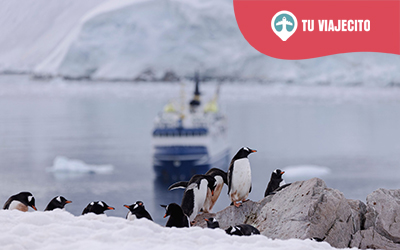 Turismo en Punta Arenas y la Antártica: Aventura en el fin del mundo