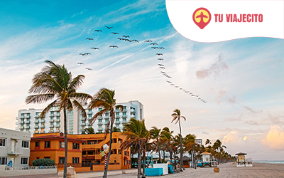 Hollywood Beach: Playa, hoteles y actividades únicas