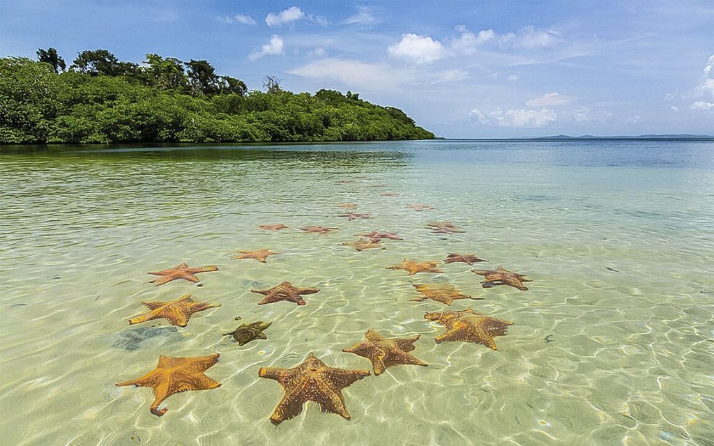 Turismo en Playa Estrellas, Panamá: un paraíso que tienes que vivir