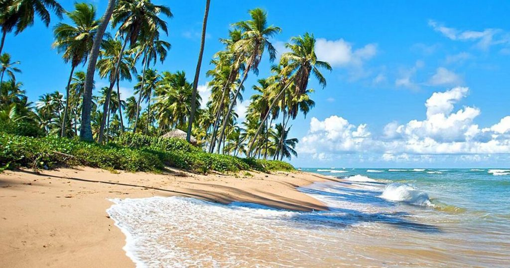 Playas de ensueño en Praia do Forte