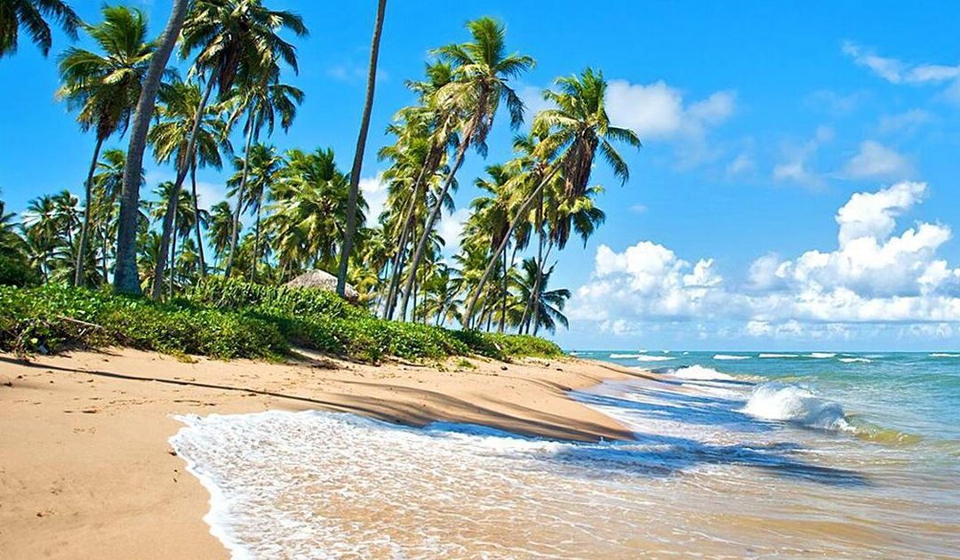 Turismo en Praia do Forte: Un paraíso natural en la costa de Bahía