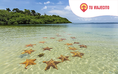 Turismo en Playa Estrellas, Panamá: un paraíso que tienes que vivir