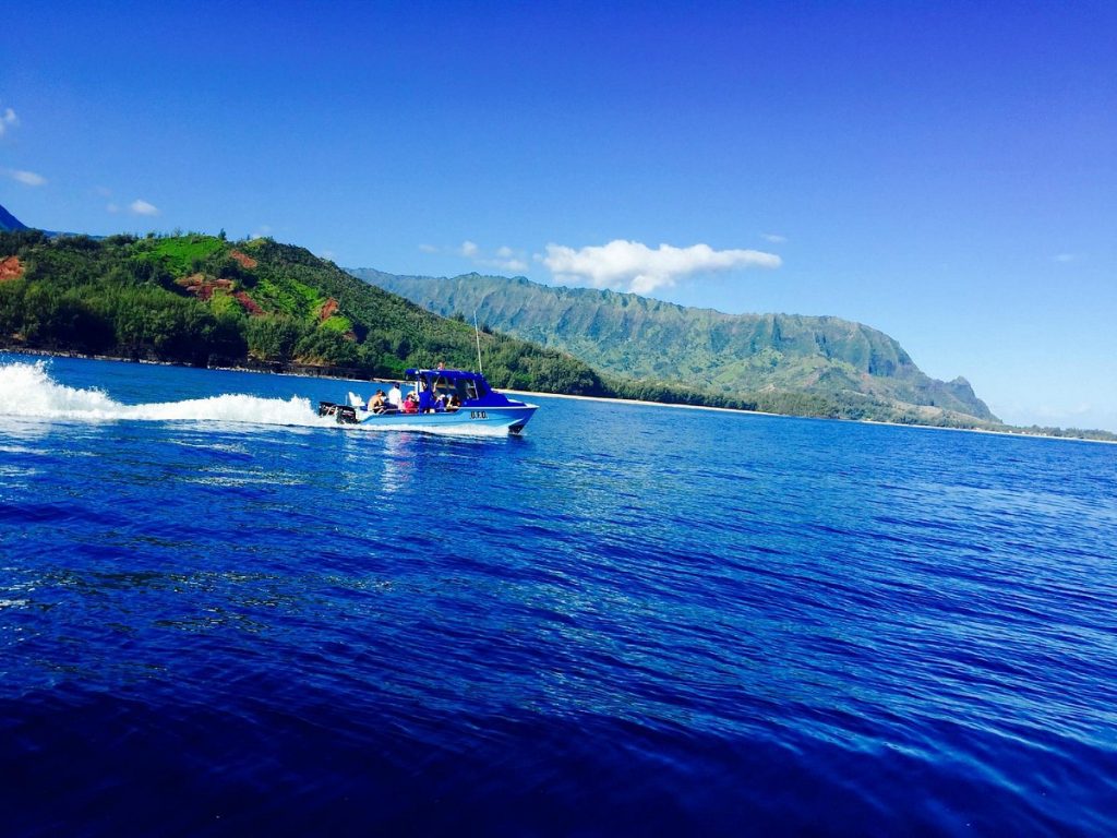 ¿Qué puedes esperar durante el recorrido? Paseo en barco por NaPali en el Amelia K