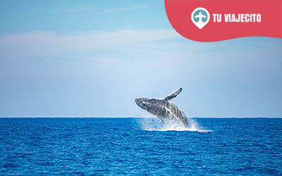 Turismo en Playa Los Cóbanos