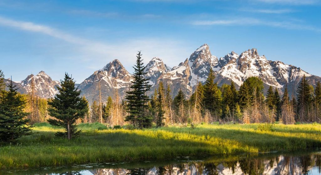 Grand Teton: una postal de montañas, lagos y vida salvaje