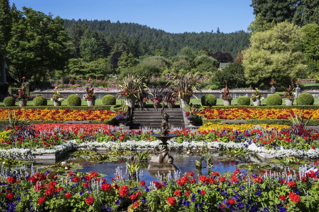 Los Butchart Gardens: Un paseo entre flores que nunca olvidarás