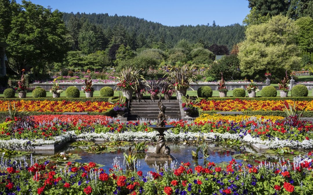 Los Butchart Gardens: Un paseo entre flores que nunca olvidarás