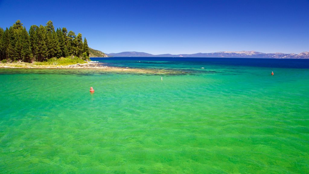 ¿Qué se puede hacer en el Lago Tahoe?