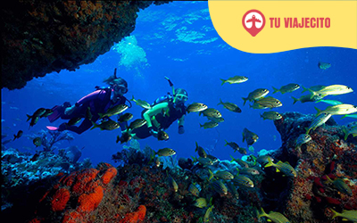 Turismo en John Pennekamp State Park