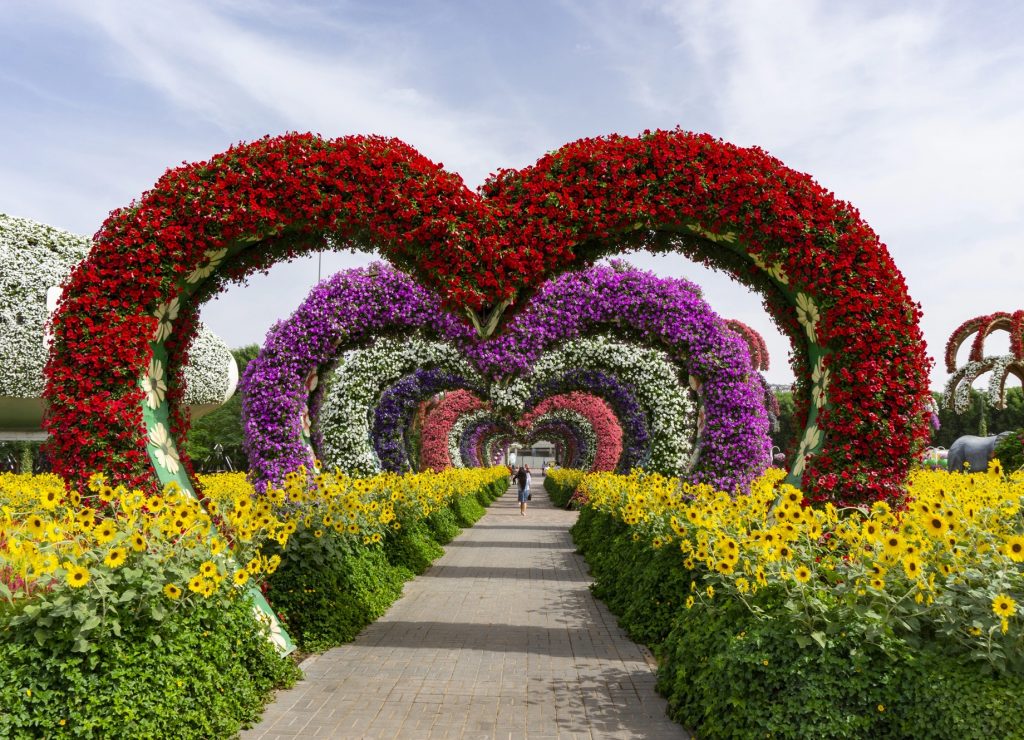 Turismo en Dubai Miracle Garden: un paraíso floral que sorprende a cada visitante